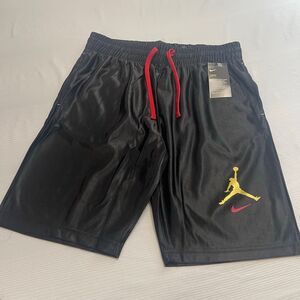 NWT Nike Dry Fit Jordan Shorts Size Large New